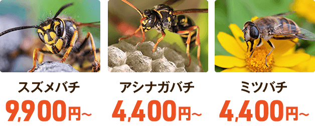 ハチの巣駆除救急隊 プロに任せて安心 蜂の巣退治基本料金4 400円から
